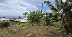 À vendre une belle parcelle de terrain plat de 1200 m2 avec pleine vue mer et montagne à Étang Salé