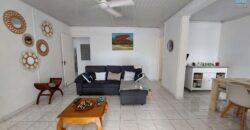 À vendre une lumineuse maison entretenue de 100 m² avec grand terrain piscinable à Sainte-Clotilde