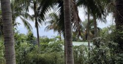 Vente d’un terrain plat et rectangulaire de 328 m² avec vue mer situé aux Avirons à 2 min du centre-ville