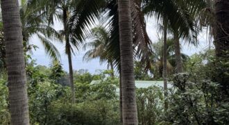 Vente d’un terrain plat et rectangulaire de 328 m² avec vue mer situé aux Avirons à 2 min du centre-ville