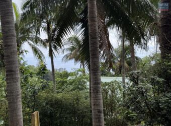 Vente d’un terrain plat et rectangulaire de 328 m² avec vue mer situé aux Avirons à 2 min du centre-ville