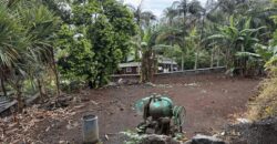 À Vendre parcelle plate et rectangulaire de 250 m² avec vue mer aux Avirons