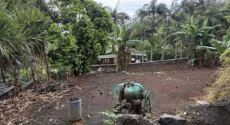 À Vendre parcelle plate et rectangulaire de 250 m² avec vue mer aux Avirons