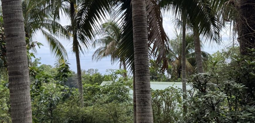 À Vendre parcelle plate et rectangulaire de 250 m² avec vue mer aux Avirons