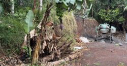 À Vendre parcelle plate et rectangulaire de 250 m² avec vue mer aux Avirons