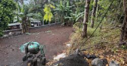 À Vendre parcelle plate et rectangulaire de 250 m² avec vue mer aux Avirons