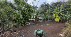 À Vendre parcelle plate et rectangulaire de 250 m² avec vue mer aux Avirons