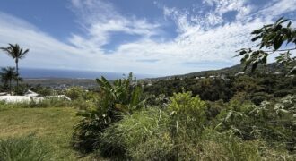 À vendre une belle parcelle de terrain plat de 1200 m2 avec pleine vue mer et montagne à Étang Salé
