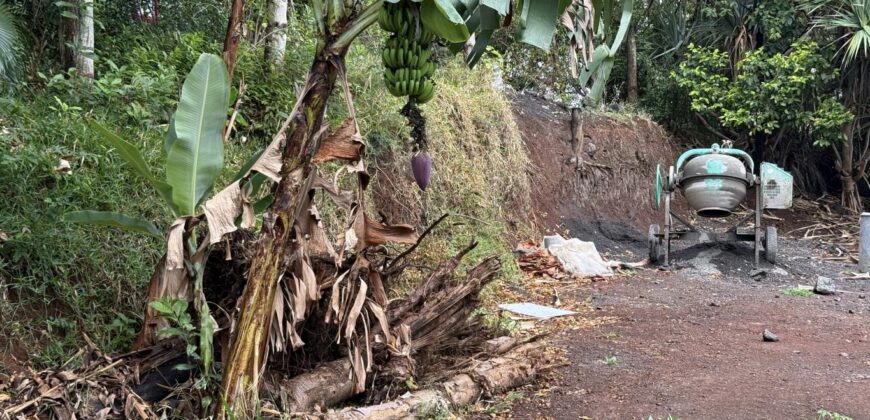 Vente d’un terrain plat et rectangulaire de 328 m² avec vue mer situé aux Avirons à 2 min du centre-ville