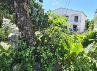 Location d’un appartement T4 de 78 m2 situé dans un quartier calme à Saint Benoit