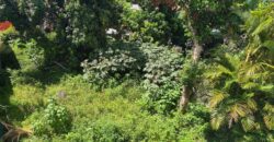 Location d’un appartement T4 de 78 m2 situé dans un quartier calme à Saint Benoit