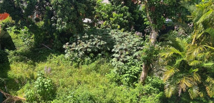 Location d’un appartement T4 de 78 m2 situé dans un quartier calme à Saint Benoit