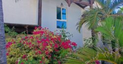 Location d’un agréable appartement F2 de 39.46m2 situé proche de la plage et du centre ville de La Saline Les Bains