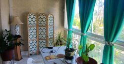 Location d’un agréable appartement F2 de 39.46m2 situé proche de la plage et du centre ville de La Saline Les Bains