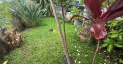 Location d’un appartement F4 rénové de 77m2 situé à Trois Mares au Tampon.