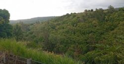 À vendre une maison F7 à rénover avec deux lots sur un terrain de 691 m² à l’Entre-Deux.