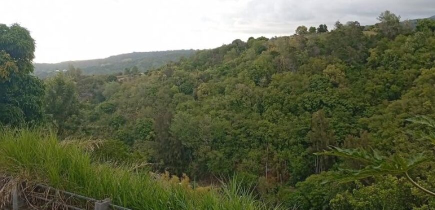 À vendre une maison F7 à rénover avec deux lots sur un terrain de 691 m² à l’Entre-Deux.