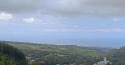 En vente une agréable villa F3/F4 entièrement rénovée à deux pas des sentiers de randonnée à l’Entre-Deux.