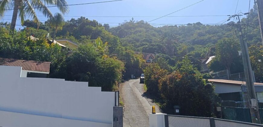 En vente une agréable villa F3/F4 entièrement rénovée à deux pas des sentiers de randonnée à l’Entre-Deux.