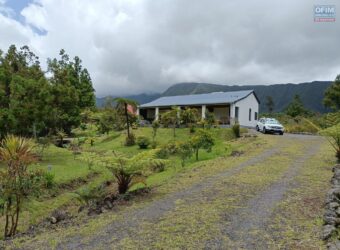 À vendre exceptionnelle villa de 80 m2 sur un terrain de 3100 m2 à la Plaine des Palmistes