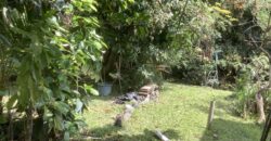 En vente ce superbe terrain à bâtir d’environ 720 m2 situé au centre-ville de La Possession.