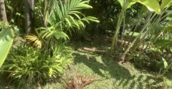 En vente ce superbe terrain à bâtir d’environ 720 m2 situé au centre-ville de La Possession.