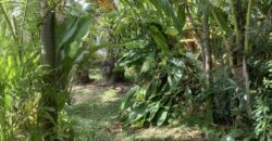 En vente ce superbe terrain à bâtir d’environ 720 m2 situé au centre-ville de La Possession.