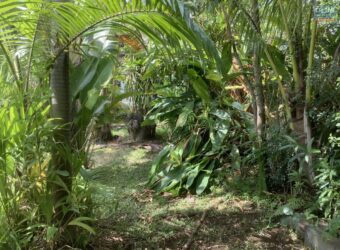 En vente ce superbe terrain à bâtir d’environ 720 m2 situé au centre-ville de La Possession.