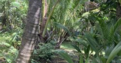 En vente ce superbe terrain à bâtir d’environ 720 m2 situé au centre-ville de La Possession.