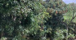 En vente ce superbe terrain à bâtir d’environ 720 m2 situé au centre-ville de La Possession.