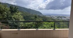 A louer un appartement T2 de 48.05m2 avec vue montagne à Saint Denis