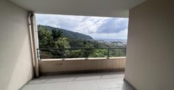 A louer un appartement T2 de 48.05m2 avec vue montagne à Saint Denis