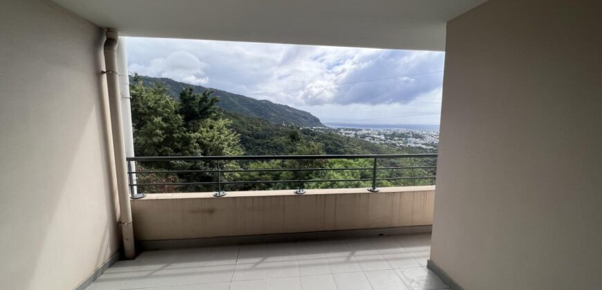A louer un appartement T2 de 48.05m2 avec vue montagne à Saint Denis