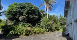 À vendre : une maison T5 à rénover située chemin Piton Trésor à La Montagne.