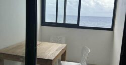 À louer un appartement de type F2 en duplex avec une vue imprenable sur la mer situé à Terre sainte
