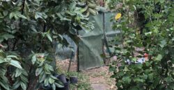 À vendre une maison T3 au Port- parfaite pour un investissement ou un premier achat.