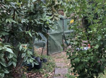 À vendre une maison T3 au Port- parfaite pour un investissement ou un premier achat.