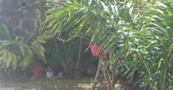 À vendre une belle maison F4 contemporaine avec varangue et jardin à Saint-Leu