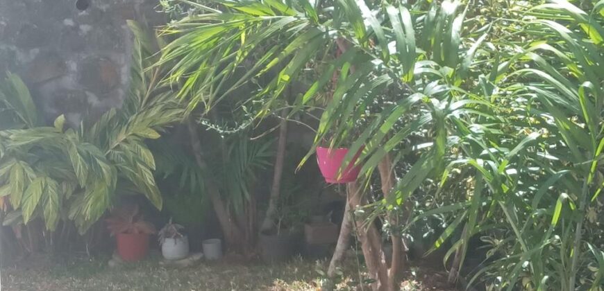 À vendre une belle maison F4 contemporaine avec varangue et jardin à Saint-Leu