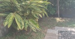 À vendre une belle maison F4 contemporaine avec varangue et jardin à Saint-Leu