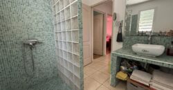 À vendre une grande maison T6 en R+1 de 172 m2 utiles sur un terrain de 463 m2 située à Terre Sainte
