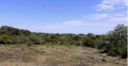 À vendre : superbe terrain constructible 303 m² viabilisé avec vue mer à Trois Bassins