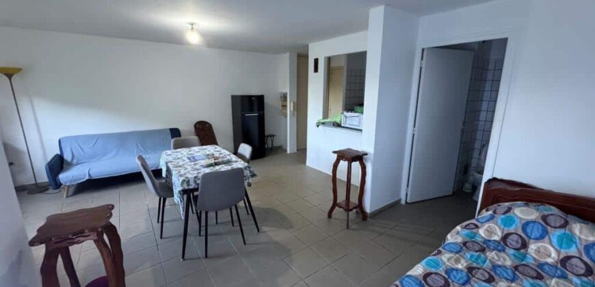 À vendre un studio d’environ 40 m2 avec jardinet le Tampon proche université