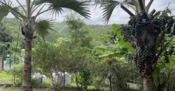 À vendre un appartement F2 de 53.71m2 dans une résidence avec piscine à Étang Salé