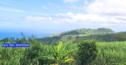 À vendre villa T4 de 120 m2 avec vue mer et montagne située dans le secteur calme de Jean-Petit Saint Joseph