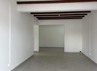 Location local professionnel de 60 m2 situé au de la Rivière Saint Louis