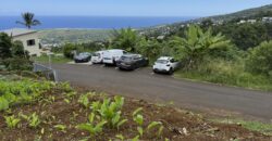 Vente d’une belle parcelle de terrain de 288 m2 en légère pente située à Étang salé Les Hauts