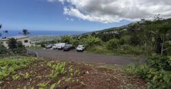 Vente d’une belle parcelle de terrain de 288 m2 en légère pente située à Étang salé Les Hauts