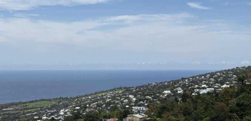 À vendre une grande maison divisée en deux logements (T3 et T5) sur un terrain de 913 m2 avec vue mer et montagne à Étang Salé