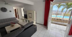 Villa d’exception à vendre à la Pointe des Châteaux – piscine et vue spectaculaire océan et montagne